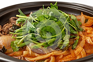 Water parsley kalguksu on a white background