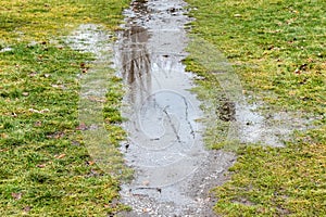 Water on a path on a lawn with green grass. Muddy puddle on a hiking trail