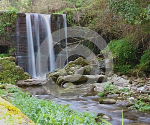 Water path with silk effect. small river flowing from the waterfall in the middle of a wooded plain