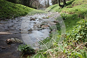 Water path with silk effect. small river flowing from the waterfall in the middle of a wooded plain