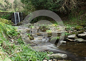 Water path with silk effect. small river flowing from the waterfall in the middle of a wooded plain