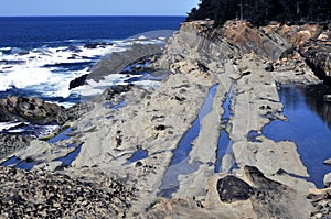 Water in Petrified Sand along Oregon Coast