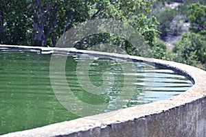 Water Pila photo