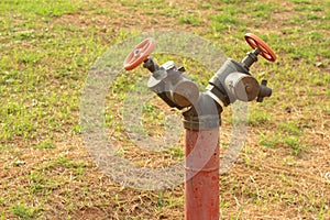 A water pipes on the green grass