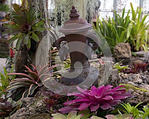 Water pitcher jug garden design
