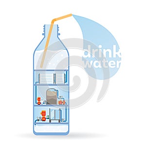 Water plant in bottle