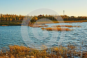 The water plants in lake