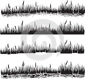 Water plants set of reed or cattails. Silhouette vector.