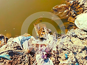 Water polluted with plastic litter and industrial waste dumping remains landfill and house hold garbage image picture stock photo