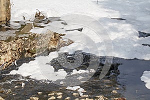 Water pollution in canal