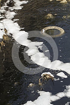 Water pollution in canal