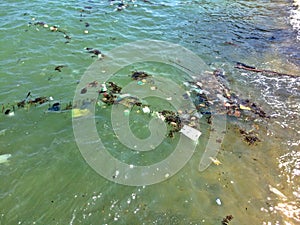 Water pollution