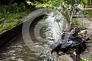 Water pollution. Garbage on the urban stream banks