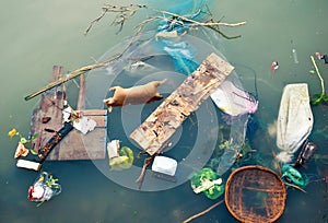 Water pollution with plastic garbage and dirty trash waste