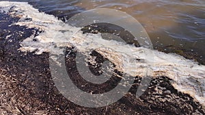 Water pollution in river, sea, lake, pond