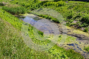 Water pollution in urban river