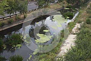 Water pollution in a urban river