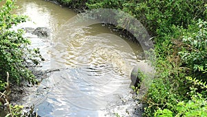 Water pollution. Waste water flowing and polluting environment.