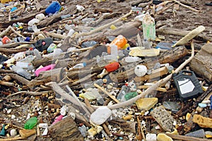 Water pollution. wastes on the beach