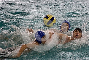 Water Polo Action