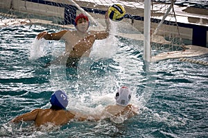 Water Polo Action