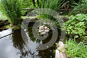 Water pond botanical garden, Siena, Tuscany, Italy