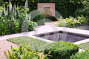 Water pond garden