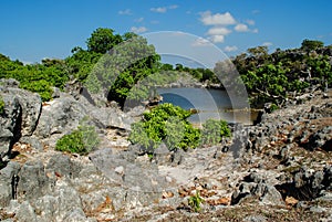 Water pond inside Savu island photo