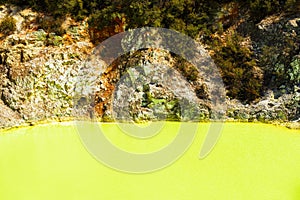 Water pond, made yellow by sulfur in Wai-O-Tapu Geothermal Wonderland, Rotorua, New Zealand. Copy space for text