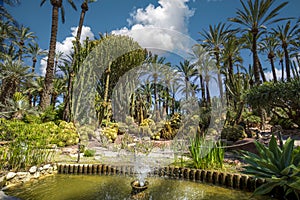 Water pond and palm trees and cacti in the Huerto del Cura in Elche, Alicante, Valencian Community, Spain