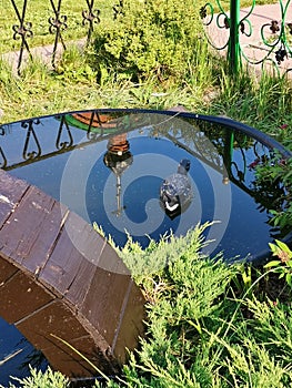 Water of pond with reflection of church in summer garden