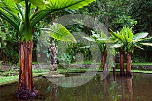 Water pool with Devi Saraswati sculpture, hindu goddess of knowledge