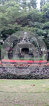fountain pool in the middle of a garden