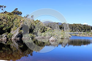 Water pool at Ship Creek, East Coast, South Island