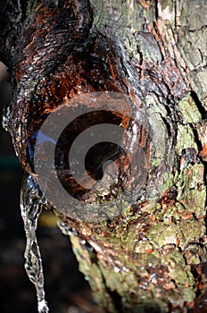 Water is poured out of the hole in the wood in a stream.