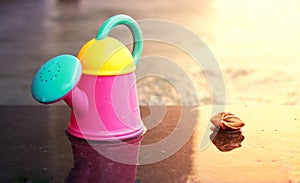 Water pouring bucket in colorful tone on poolside and blur shell for beach summer vacation holiday concept