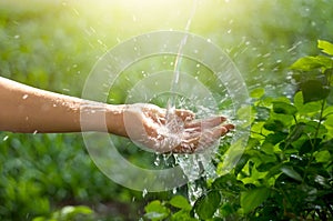 Water pouring in woman hand on green nature background