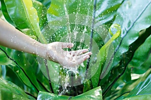 Water pouring in woman hand on nature, environment issue