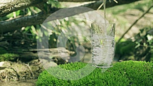 Water pours into glass standing on mossy rock. Spring stream in soft focus on background. Pure ecological water from a