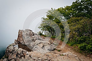 Water puddle on Little Stony Man Cliffs and the Appalachian Trail in fog, in Shenandoah National Park, Virginia.