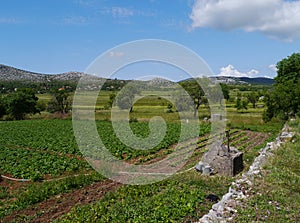 A water pulley at the Croatian countryside