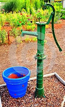 Water pump