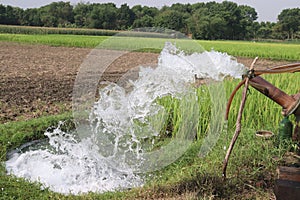 water pump with paddy plant on field