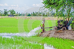 Water Pump - Powerful Water Flowing from a Large Pipe Pump in Rice Field at Countryside in Center of Thailand, The way of farming