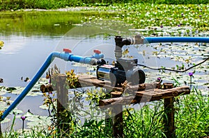 Water pump supply garden farm strawberries berries in field