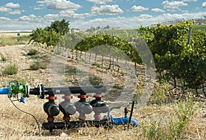 Water pumps for irrigation of vineyards