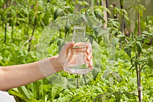 Water Purity Test, liquid in laboratory glassware