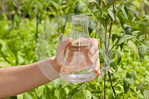 Water Purity Test, liquid in laboratory glassware