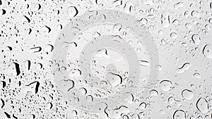 Water rain droplets on clear transparent glass background, clear water vapor bubbles on window glass