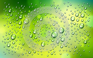 Water rain drops or condensation over blurred green nature background beyond the window, realistic transparent 3d vector